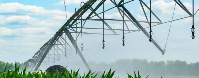 An expansive irrigation system with multiple sprinklers spraying water over rows of crops under a partly cloudy sky.