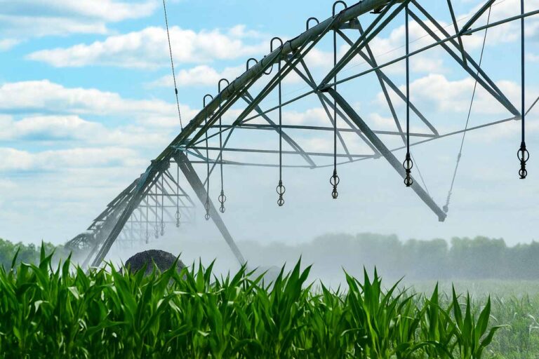 An expansive irrigation system with multiple sprinklers spraying water over rows of crops under a partly cloudy sky.